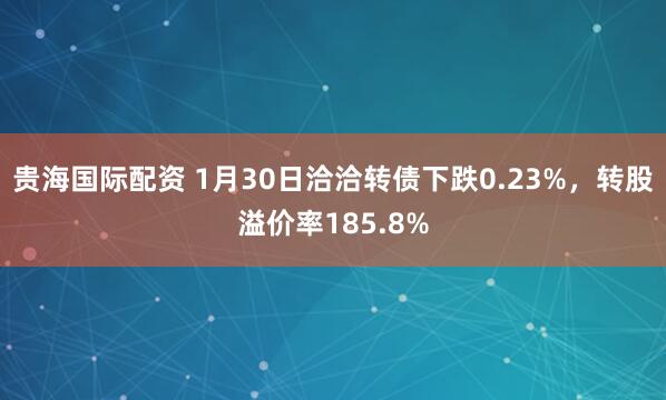 贵海国际配资 1月30日洽洽转债下跌0.23%，转股溢价率185.8%